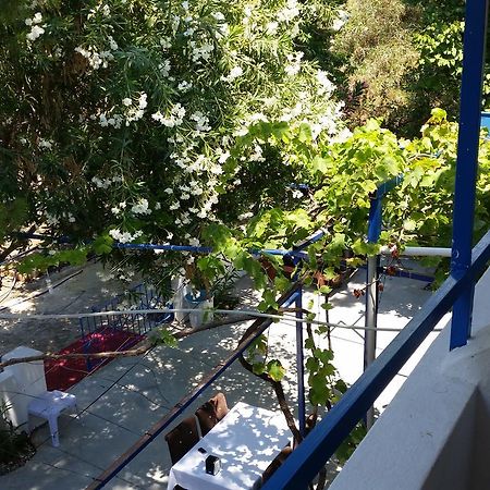Deniz Yildizi Bed and Breakfast Fethiye Zewnętrze zdjęcie